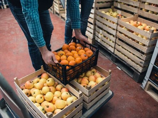 A person putting down a crate of oranges on a trolley in a warehouse.