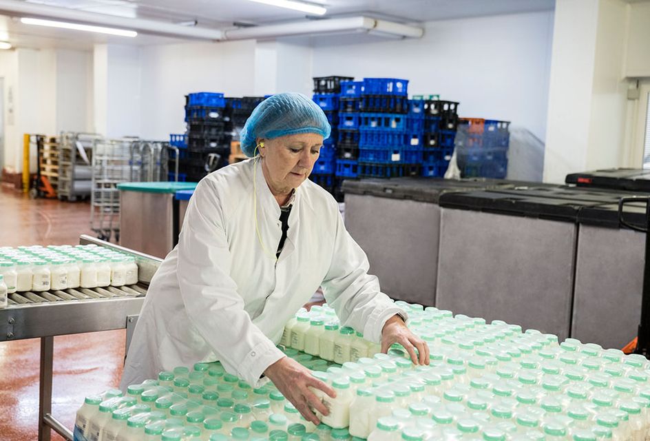 A woman in her mid 60s wearing a hair net and white coat inspects bottles of milk in a factory.