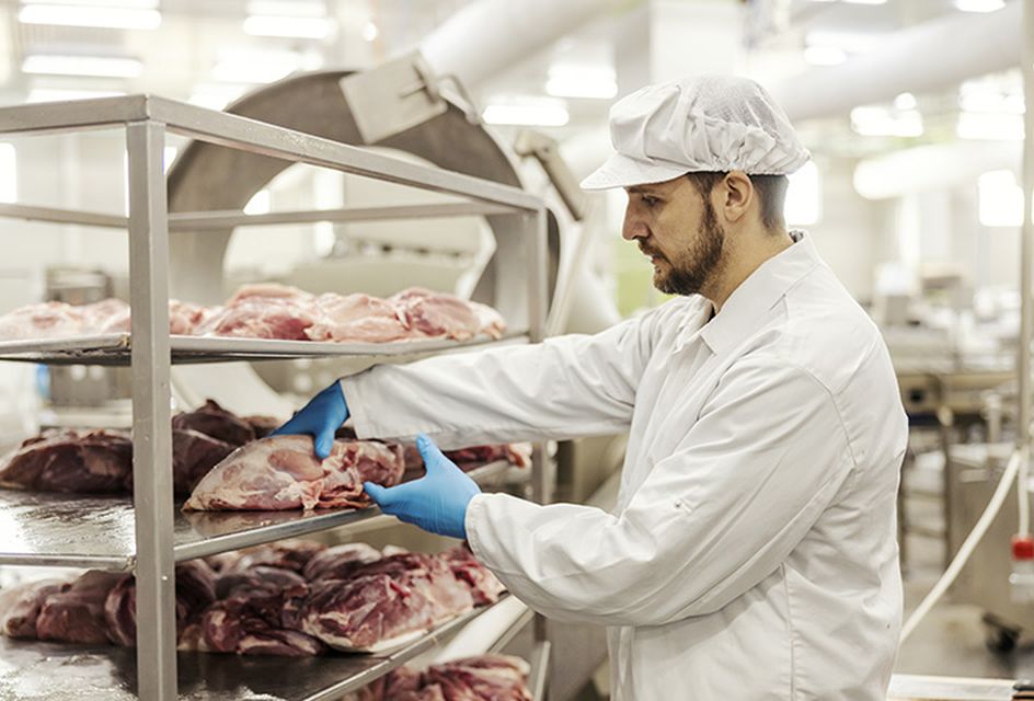 Food inspector handling meat