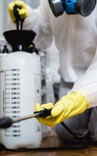 A pest management specialist spraying in a room