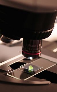 Microscope in a laboratory.